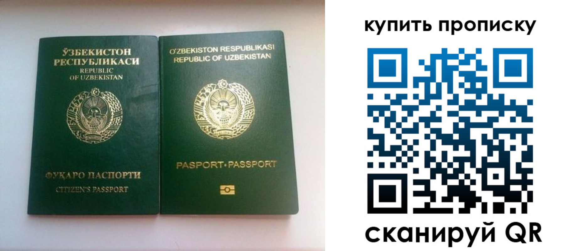 временная прописка в Московской области